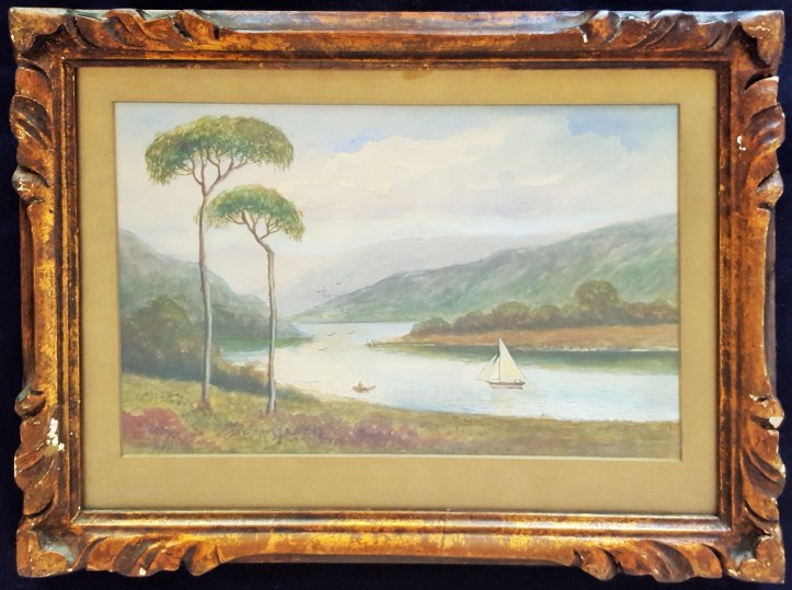 Sailing on Lane Cove