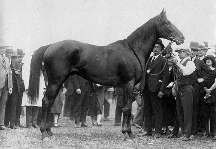 t712Windbag1925MelbourneCup