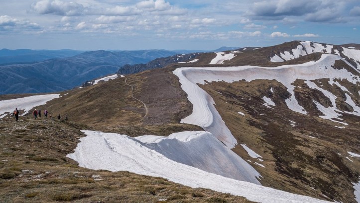 Ten Peak Trekkers heading towards Carruthers Peak-Mike Edmondson