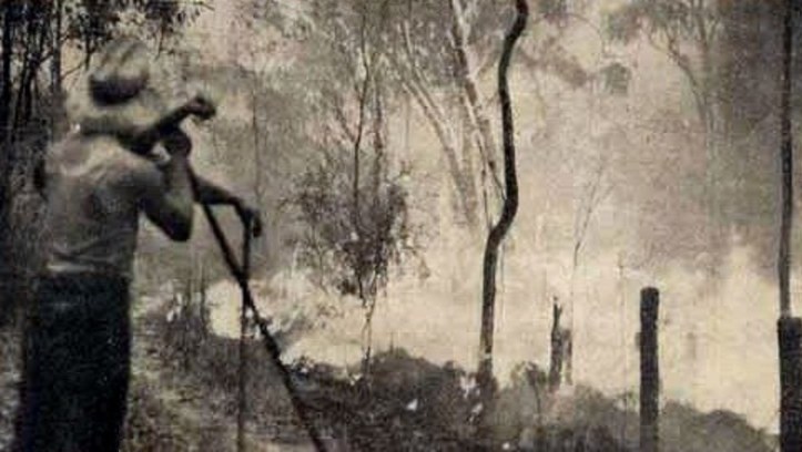 Remembrance Black Friday 1939-2020 - onlymelbourne com au (2)